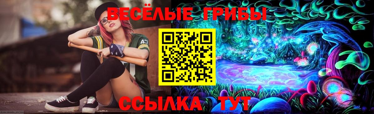 Псилоцибиновые грибы Psilocybe Белово